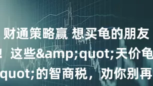 财通策略赢 想买龟的朋友看过来！这些&quot;天价龟&quot;的智商税，劝你别再交了_龟甲_自然界_实际