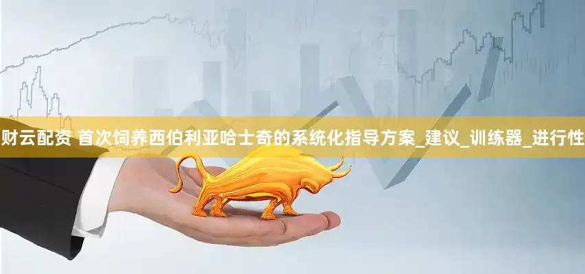 财云配资 首次饲养西伯利亚哈士奇的系统化指导方案_建议_训练器_进行性